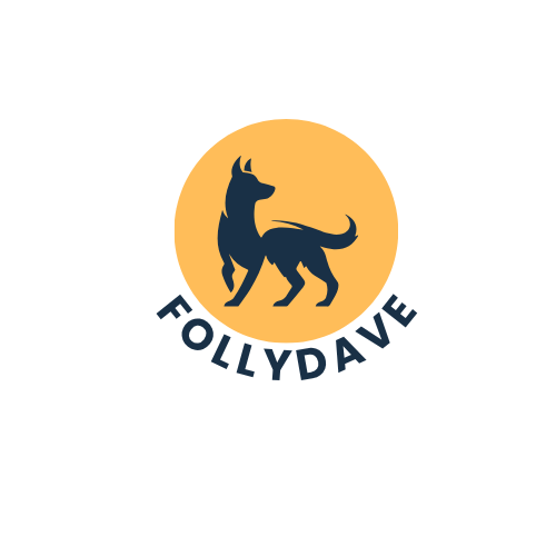 FollyDave